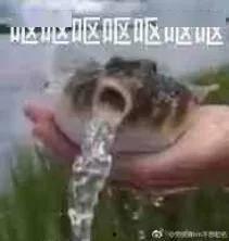 国产在线 醉酒小视频,醉酒小视频带你领略别样风情