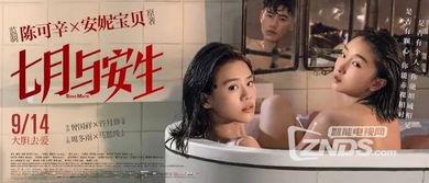 国产专业女同在线观看,在线观看盛宴来袭