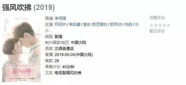 强风吹拂在线观看国产剧,国产剧中的热血青春与梦想追逐