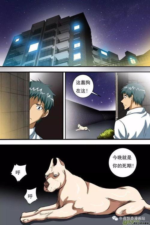 国产动画恶狗在线观看