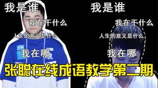 国产秦总探花在线,揭秘现代都市中的传奇人物