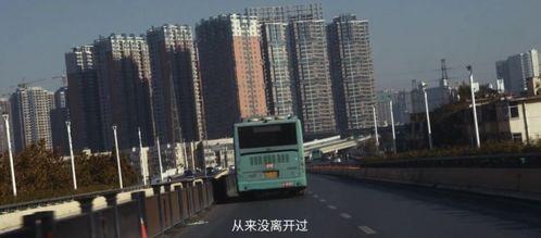 国产在线看片区,探索本土影视魅力之旅