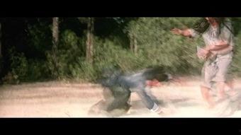 国产功夫二 在线,热血江湖，再战巅峰