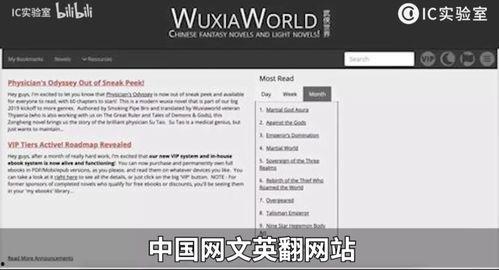2020国产qv在线看,2020年度国产热门QV作品在线观看指南